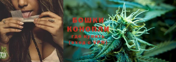 индика Бронницы
