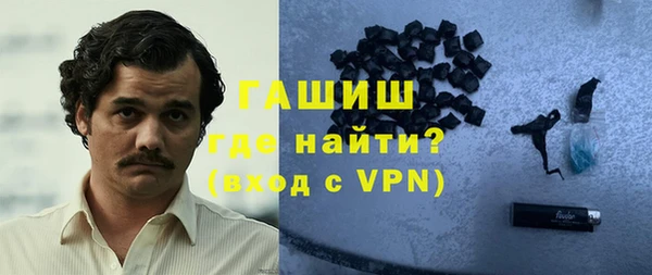 индика Бронницы