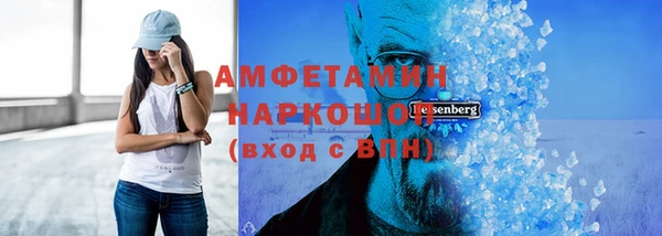 индика Бронницы