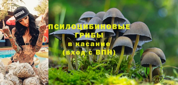 марихуана Бородино
