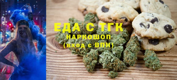индика Бронницы