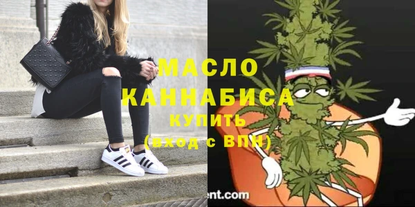 индика Бронницы