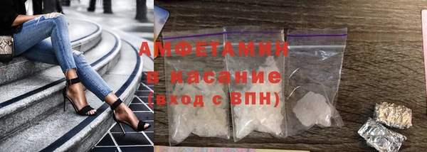 индика Бронницы