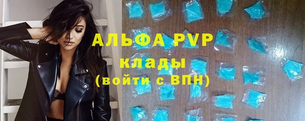 индика Бронницы