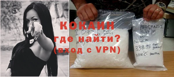 индика Бронницы