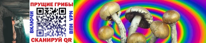 даркнет Telegram  Касимов  Псилоцибиновые грибы Magic Shrooms  сколько стоит 