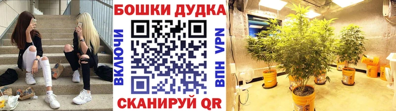 Бошки Шишки SATIVA & INDICA  Касимов 